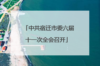 中共宿迁市委六届十一次全会召开